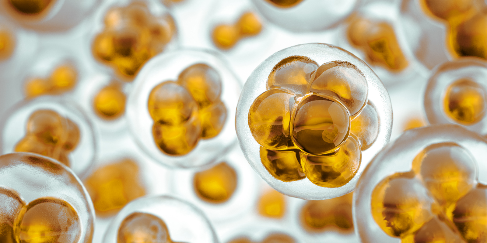 Chemical solvents Barrettine Industrial